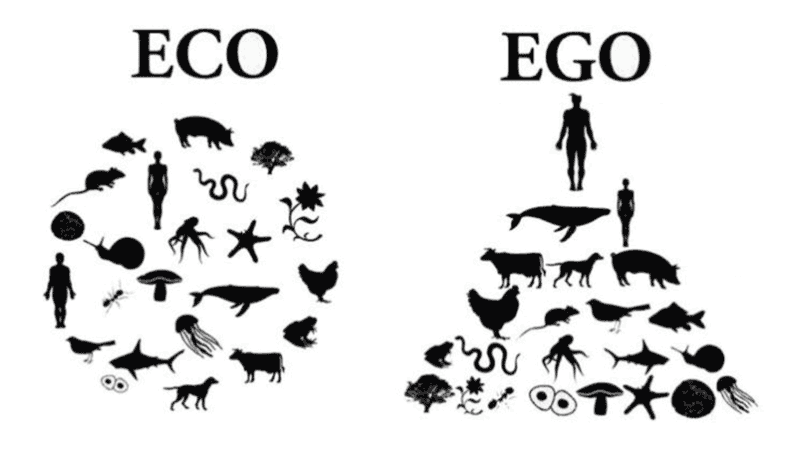 Eco vs Ego